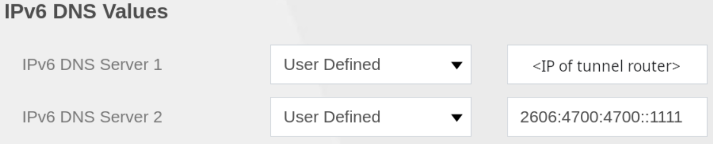 The main router is configured to instruct clients to use the tunnel router as a DNS server.